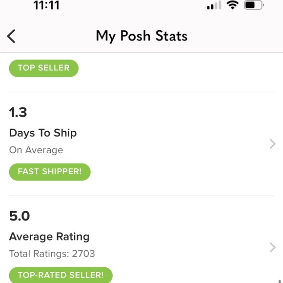 Tiffany & Company Shopping Gift Bag tote - Picture 16 of 16